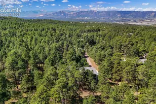 17075 Viscount Ct, Monument, CO 80132 - Photo 50