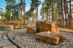 16526 Dancing Bear Ln, Monument, CO 80132 - Photo 38