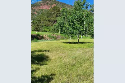 141 Virginia Avenue, Palmer Lake, CO 80133 - Photo 6