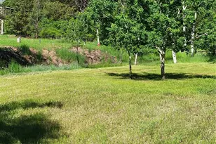 141 Virginia Ave, Palmer Lake, CO 80133 - Photo 6