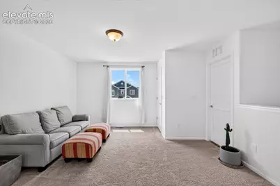 10286 Luneth Drive, Colorado Springs, CO 80925 - Photo 24