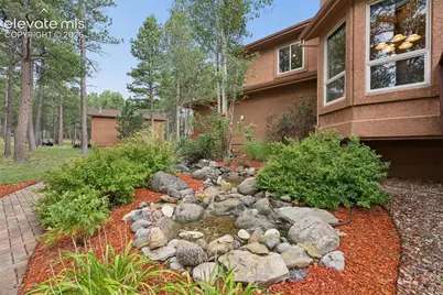 14953 Snowy Pine Point, Colorado Springs, CO 80908 - Photo 8