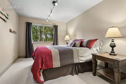 14953 Snowy Pine Point, Colorado Springs, CO 80908 - Photo 30