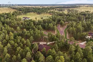 14953 Snowy Pine Point, Colorado Springs, CO 80908 - Photo 42