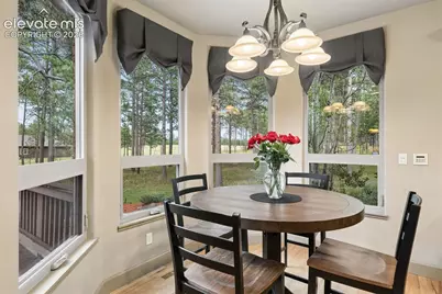 14953 Snowy Pine Point, Colorado Springs, CO 80908 - Photo 16