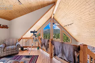 598 Dandy Jim Dr, Cripple Creek, CO 80813 - Photo 20
