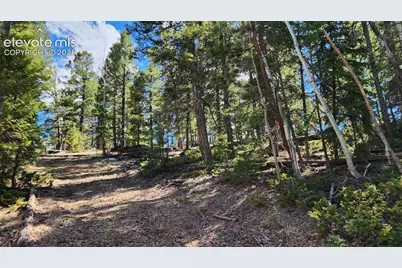 178 Gerka Lane, Florissant, CO 80816 - Photo 6