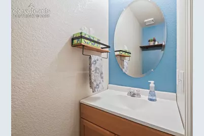 6273 Saddlebred Way, Colorado Springs, CO 80925 - Photo 12