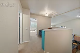 6273 Saddlebred Way, Colorado Springs, CO 80925 - Photo 18