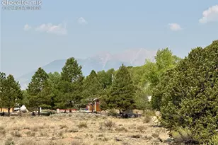 10795 Co Rd 197A, Nathrop, CO 81236 - Photo 30