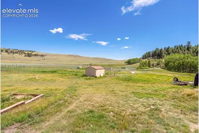 242 Poplar Lane, Guffey, CO 80820 - Photo 18