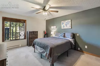 208 Illini Drive, Woodland Park, CO 80863 - Photo 12