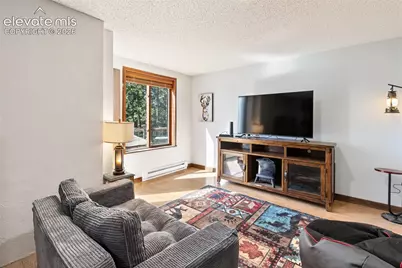 208 Illini Drive, Woodland Park, CO 80863 - Photo 14