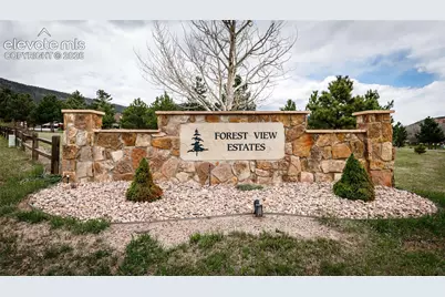 374 Hoover Lane, Palmer Lake, CO 80133 - Photo 48