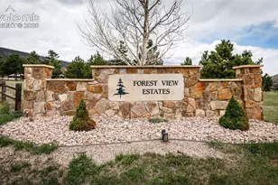 374 Hoover Ln, Palmer Lake, CO 80133 - Photo 48