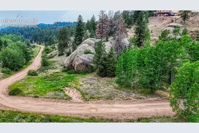 830 Pinon Lane, Florissant, CO 80816 - Photo 1
