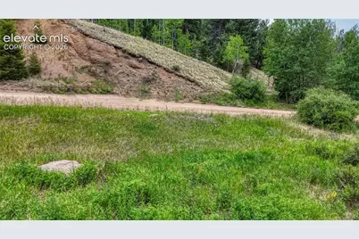 830 Pinon Lane, Florissant, CO 80816 - Photo 10