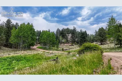 830 Pinon Lane, Florissant, CO 80816 - Photo 14