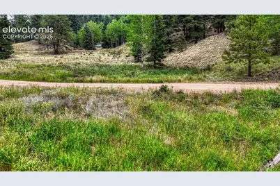 830 Pinon Lane, Florissant, CO 80816 - Photo 20