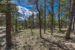 101 Dunlap Dr, Florissant, CO 80816 - Photo 20