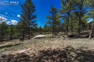 101 Dunlap Dr, Florissant, CO 80816 - Photo 24