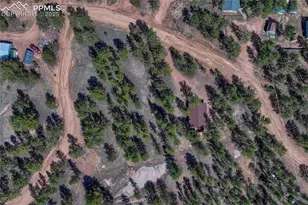 101 Dunlap Dr, Florissant, CO 80816 - Photo 40