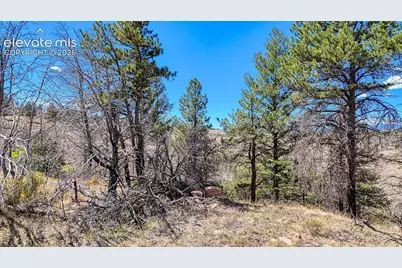 Lot 228 Forbes Park Road, Fort Garland, CO 81133 - Photo 10