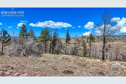Lot 228 Forbes Park Road, Fort Garland, CO 81133 - Photo 16