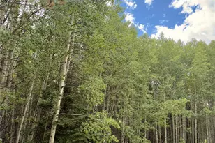 616 Spring Valley Ln, Florissant, CO 80816 - Photo 1