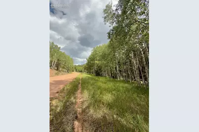 616 Spring Valley Lane, Florissant, CO 80816 - Photo 16