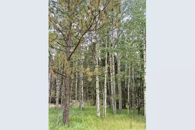 616 Spring Valley Lane, Florissant, CO 80816 - Photo 6