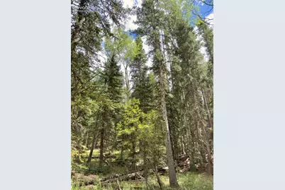 616 Spring Valley Lane, Florissant, CO 80816 - Photo 8