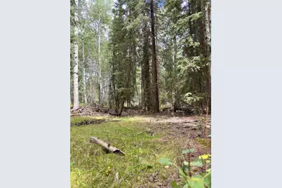 616 Spring Valley Lane, Florissant, CO 80816 - Photo 4