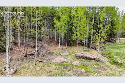 42 Rabbit Circle, Florissant, CO 80816 - Photo 4
