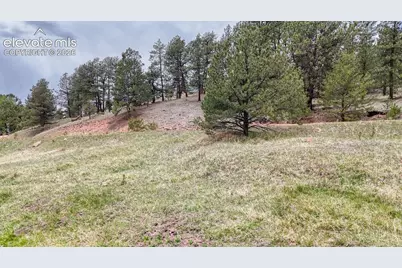 42 Rabbit Circle, Florissant, CO 80816 - Photo 2