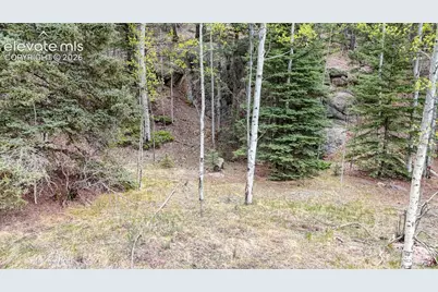 42 Rabbit Circle, Florissant, CO 80816 - Photo 8
