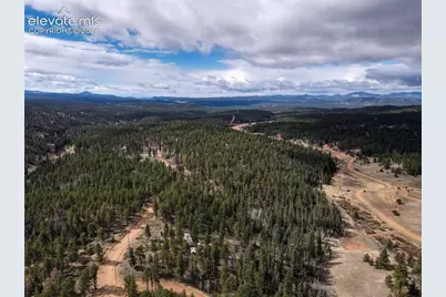 124 Trout Creek Drive, Divide, CO 80814 - Photo 50