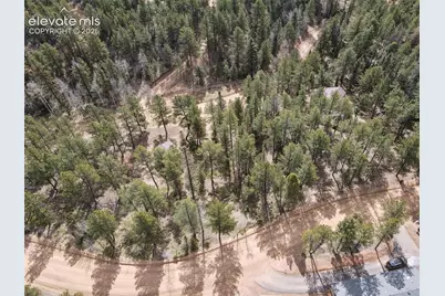124 Trout Creek Drive, Divide, CO 80814 - Photo 48