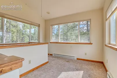 124 Trout Creek Drive, Divide, CO 80814 - Photo 30