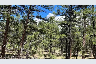 207 Little Bear Drive, Westcliffe, CO 81252 - Photo 6