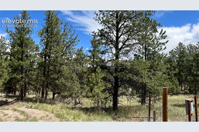 207 Little Bear Drive, Westcliffe, CO 81252 - Photo 2