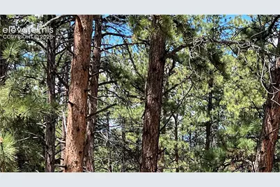 207 Little Bear Drive, Westcliffe, CO 81252 - Photo 8