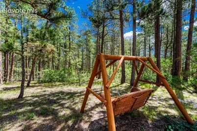 19635 W Top O The Moor Drive, Monument, CO 80132 - Photo 48