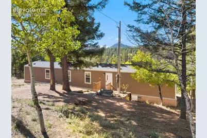 695 Elk Creek Drive, Divide, CO 80814 - Photo 4