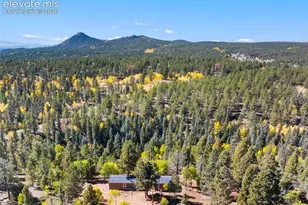 695 Elk Creek Dr, Divide, CO 80814 - Photo 1
