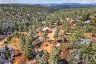 715 W Bison Creek Trail, Florissant, CO 80816 - Photo 42