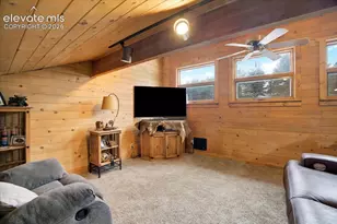 715 W Bison Creek Trail, Divide, CO 80816 - Photo 22