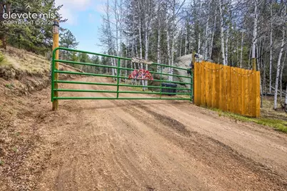 715 W Bison Creek Trail, Florissant, CO 80816 - Photo 36