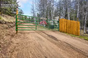 715 W Bison Creek Trail, Florissant, CO 80816 - Photo 36