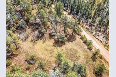 715 W Bison Creek Trail, Florissant, CO 80816 - Photo 48